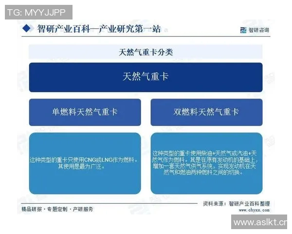 数据分析在液化天然气行业中的个人能力提升与表现研究 数据分析在液化天然气行业中的个人能力提升与表现研究