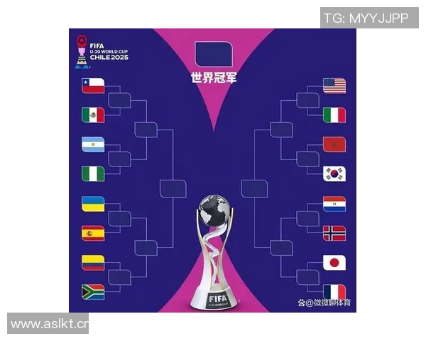 世界杯赛事分析：各大强队实力对比与赛程前瞻